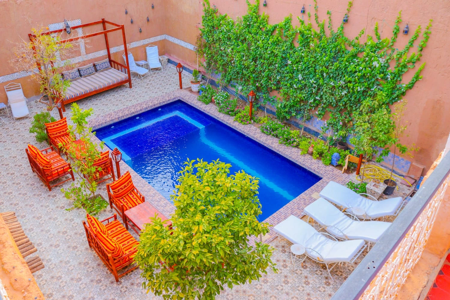 La Petite Kasbah Zagora pool with palm trees
