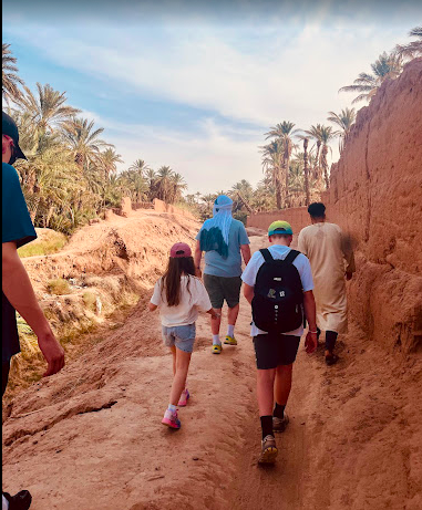 Palm Grove Walk - Image